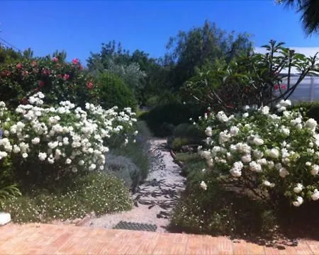 Casa Santa Rita *